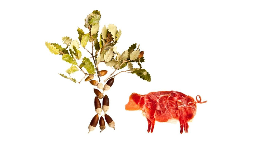 Which Jamón is the healthiest, best and most expensive?