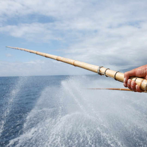 Atún de las Azores en agua de manantial 120g