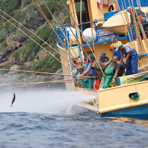Atún de las Azores en agua de manantial 120g