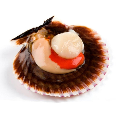 Premium Variegated Scallop "Zamburiñas" in galician sauce 115g